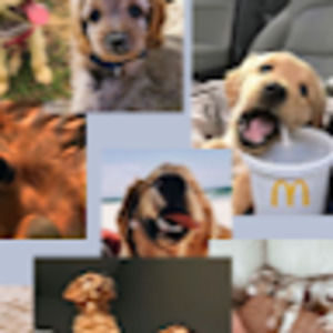 Meet your Posher, Gianna